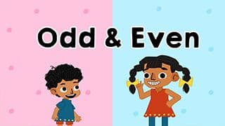 Introduction to Odd and Even Numbers