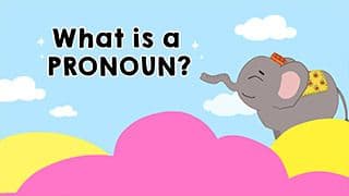 Introduction to Pronoun