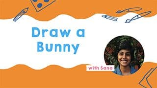 Bunny Drawing Guide