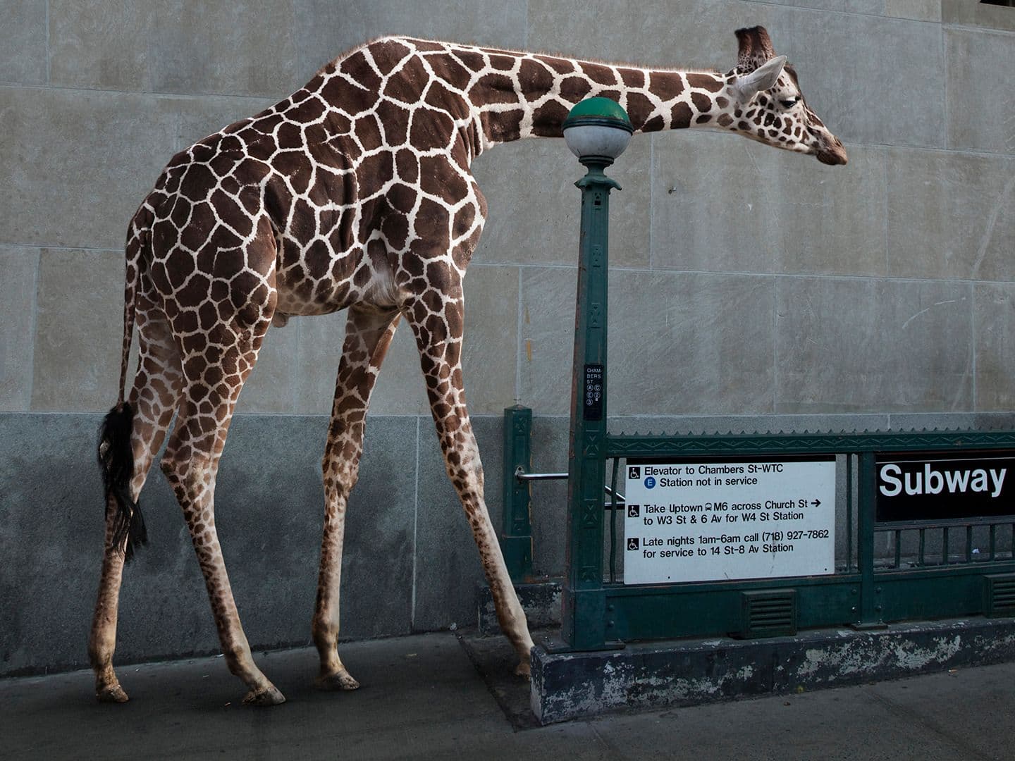 Understanding Fairness