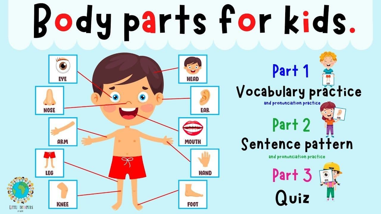 Body Parts For Kids | Learn Parts Of The Body | Body Part Quiz | ESL Kids | 4K