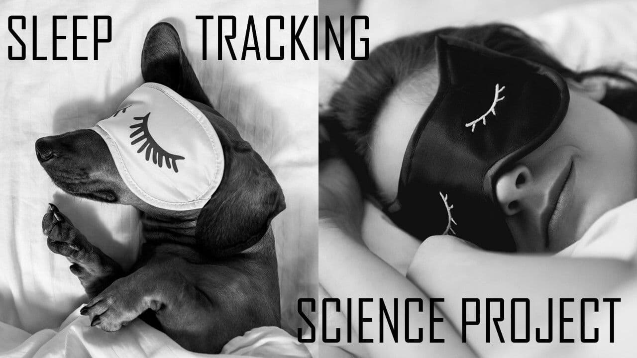 Sleep Tracking: The Brain and Circadian Rhythm's Role in Sleep