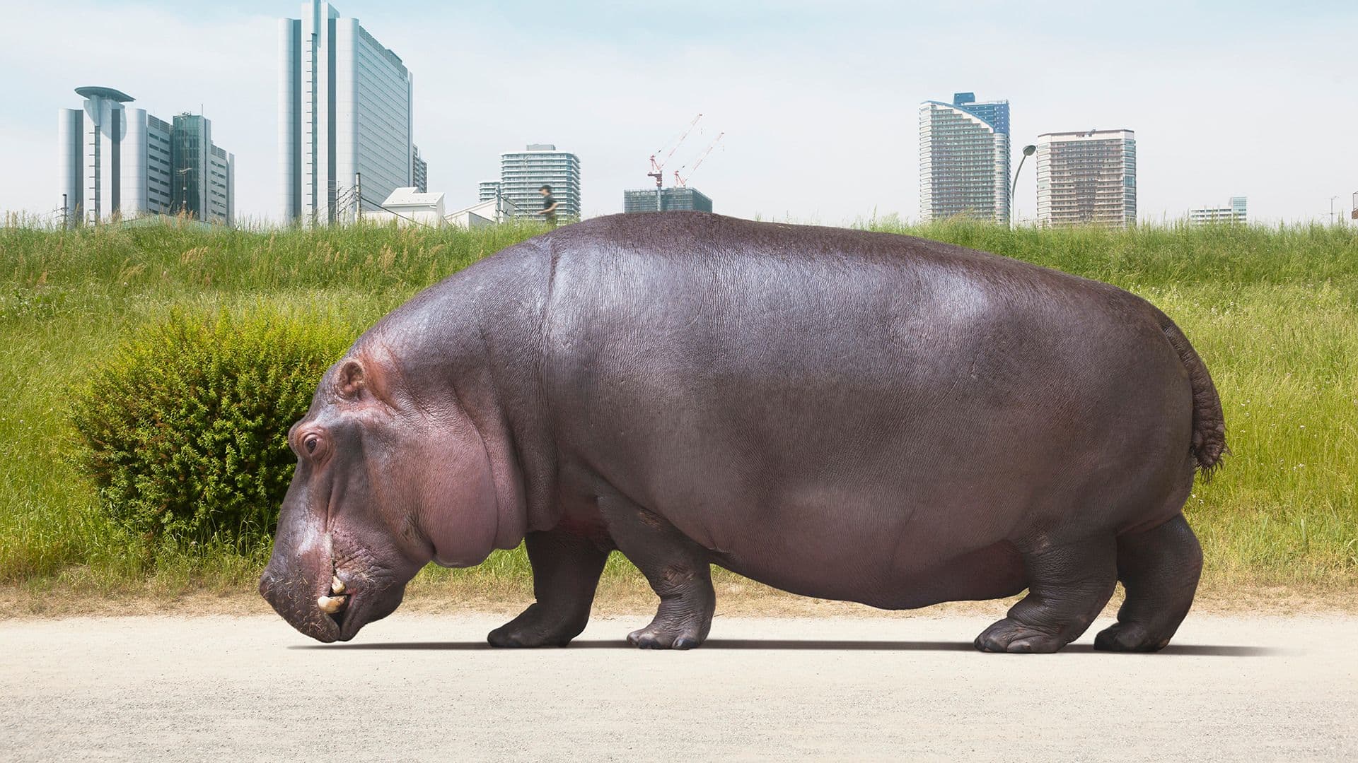 Exploring Knowledge : How knowledge is acquired and applied