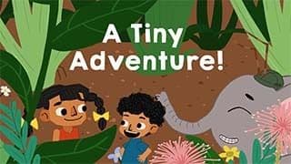 A Tiny Adventure