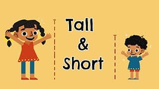 Comparative concept - Tall and Short