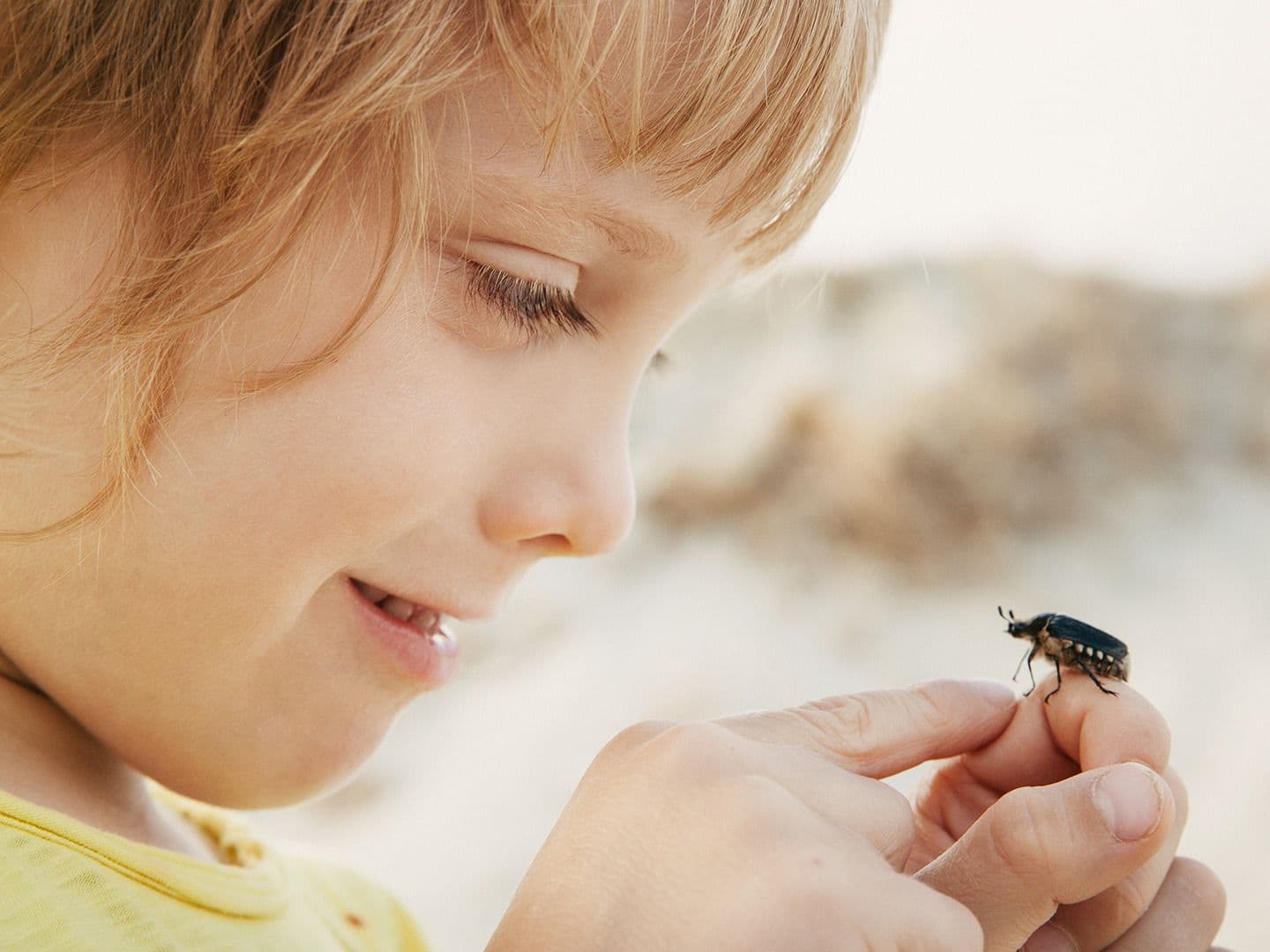 The Importance of Order in Life