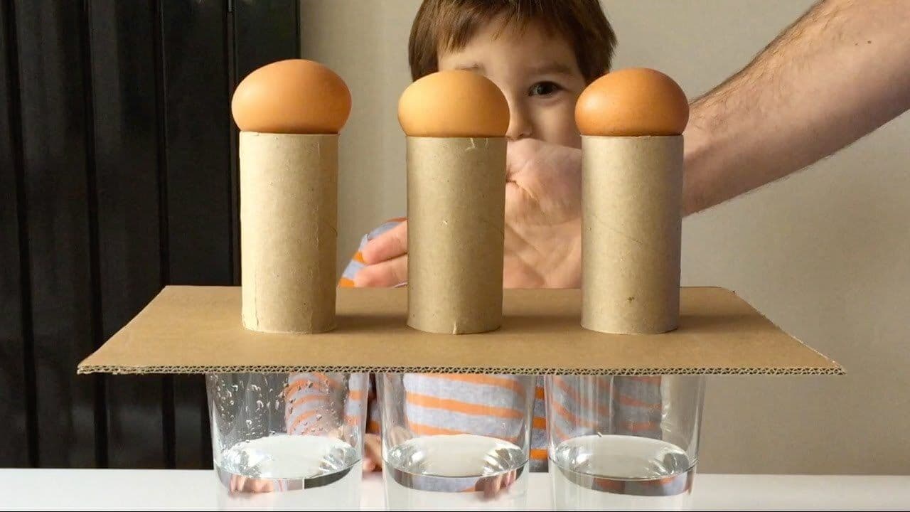 Science Experiments with Eggs