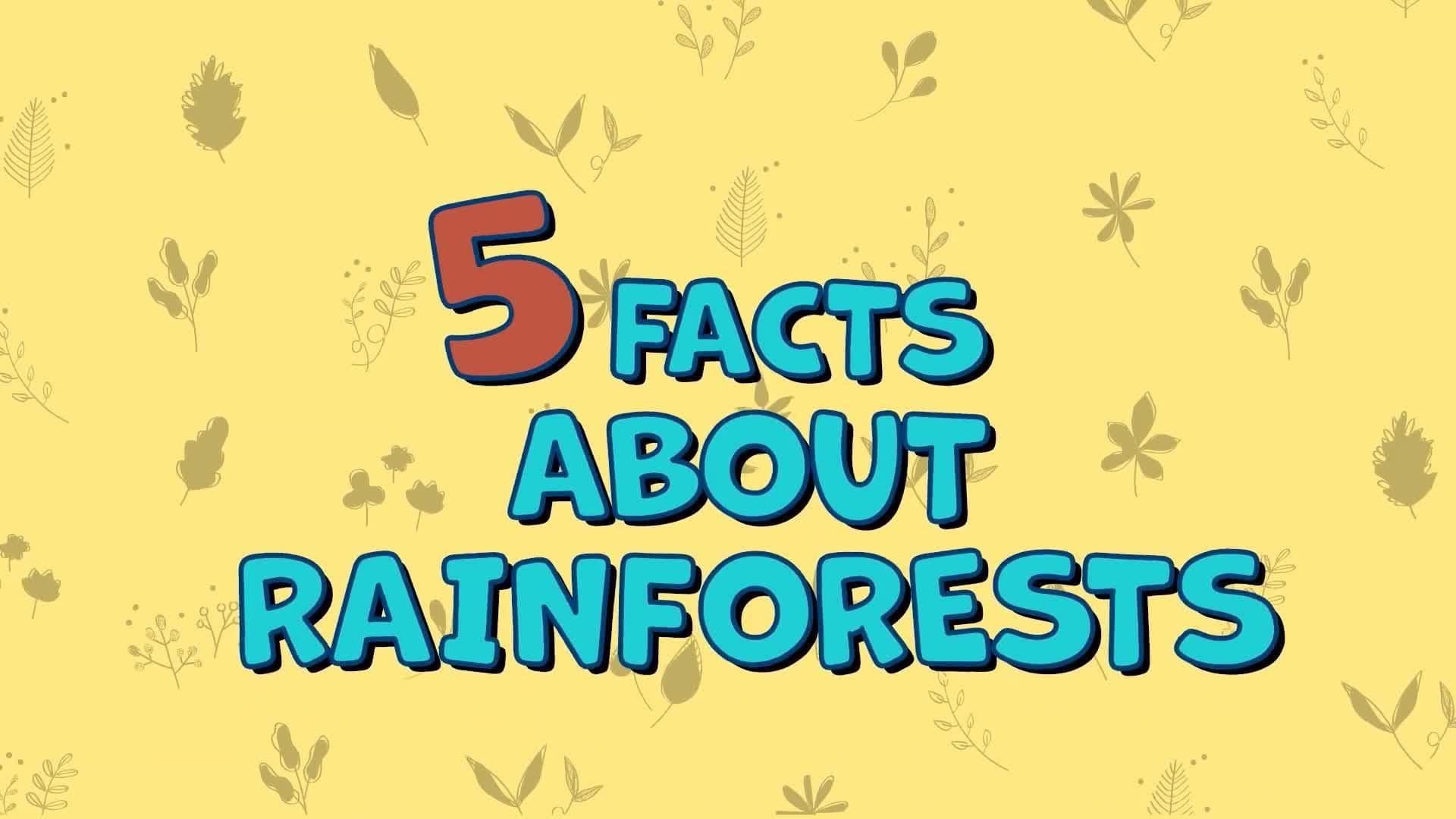 Five Facts- Rainforests