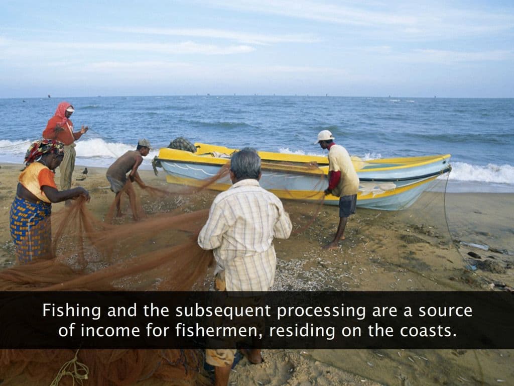 Fisheries