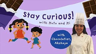 Chocolate Wonders - Stay Curious Chocolatier
