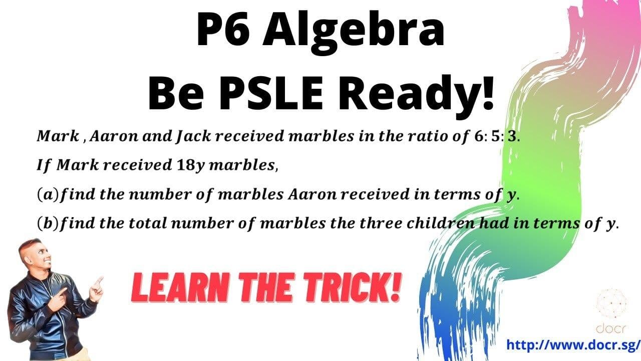 P6 Algebra