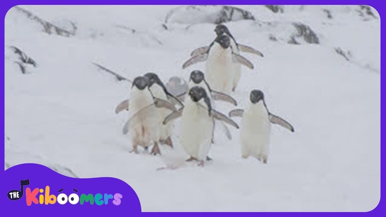 Penguin Dance Song for Kids | Fun Penguin Songs for Children | The Kiboomers