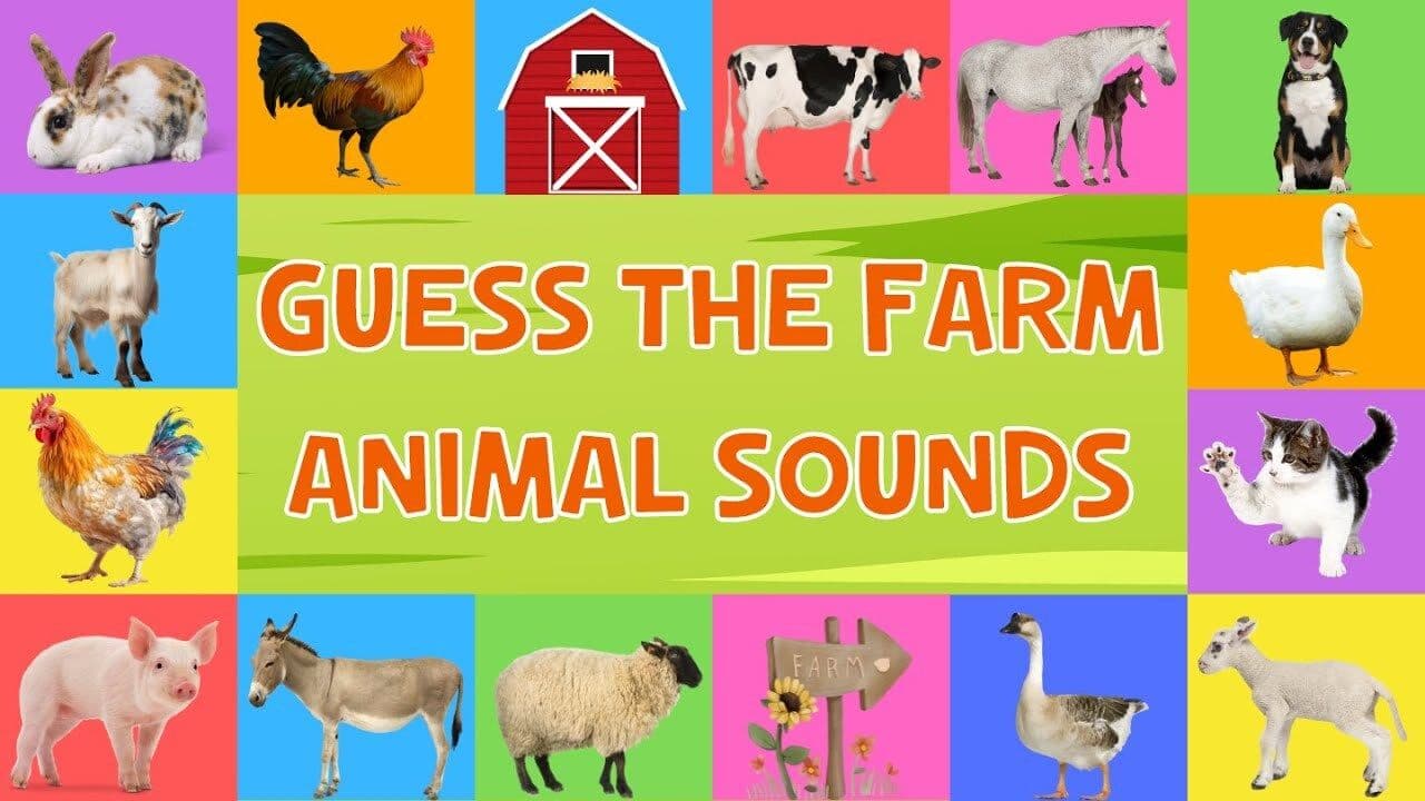 Guess the Farm Animal Sounds for Kids