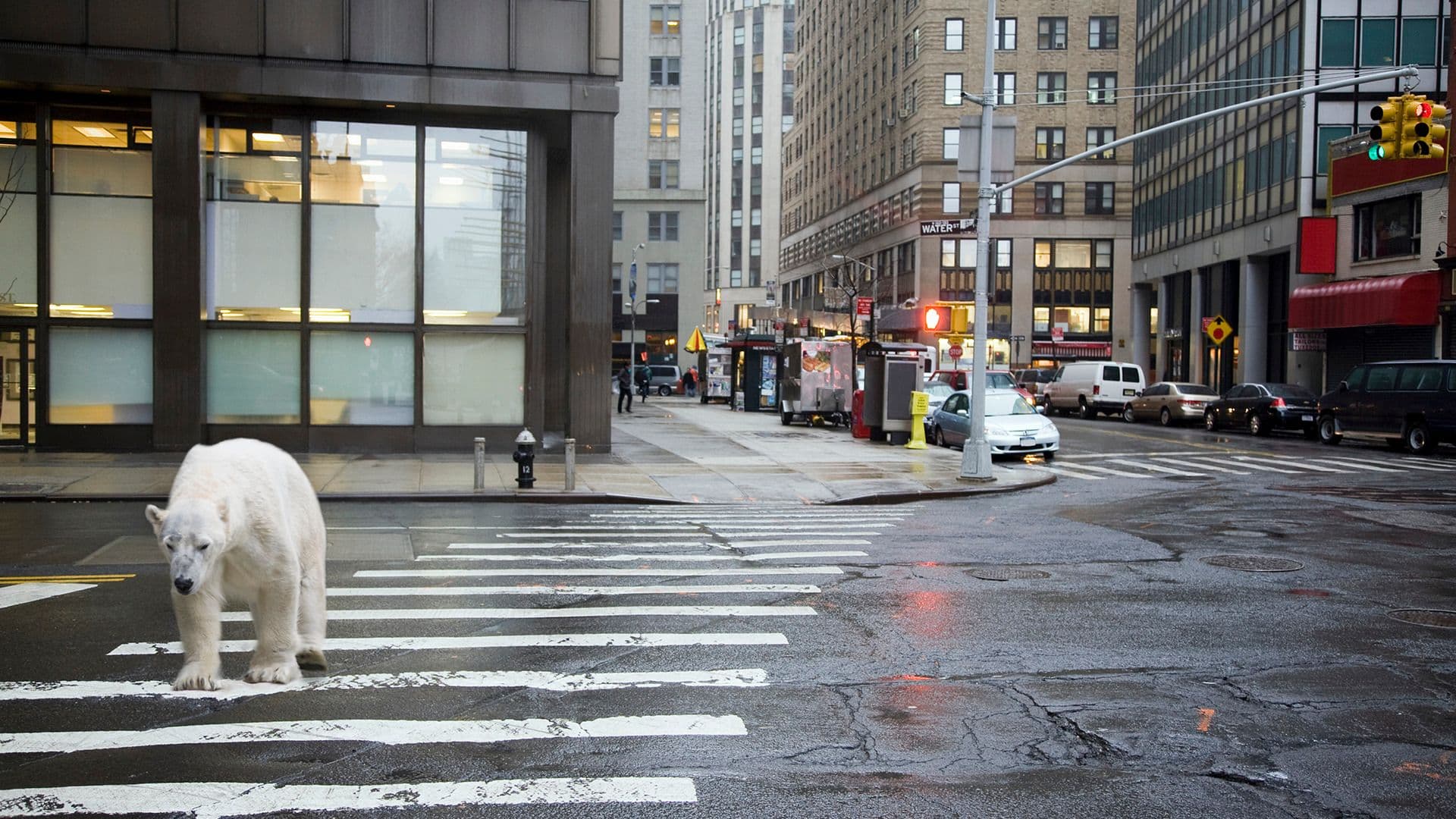 Courage: Conquering Fear and Embracing Change