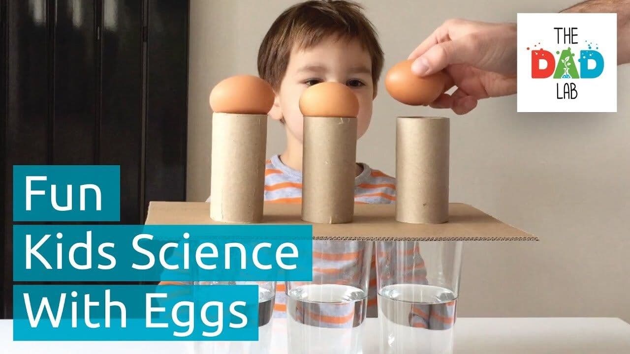5 Science Experiments with Eggs
