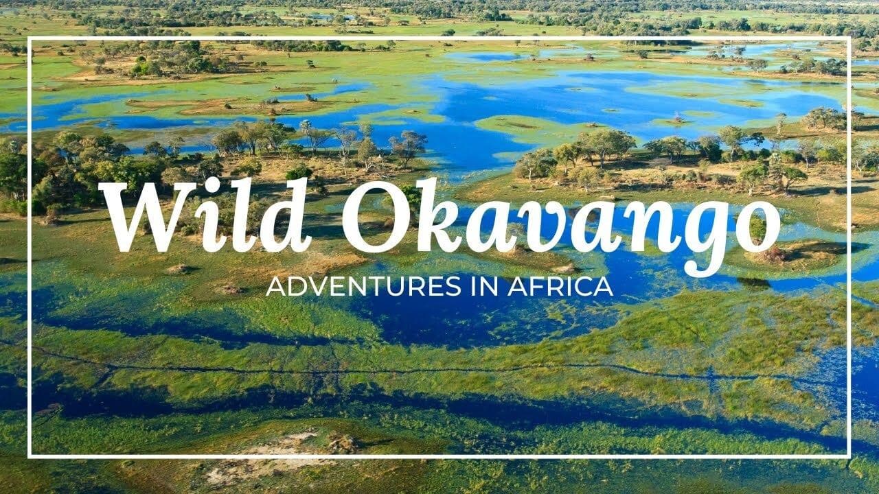 The Okavango Delta: A Wildlife Haven in the Heart of Africa