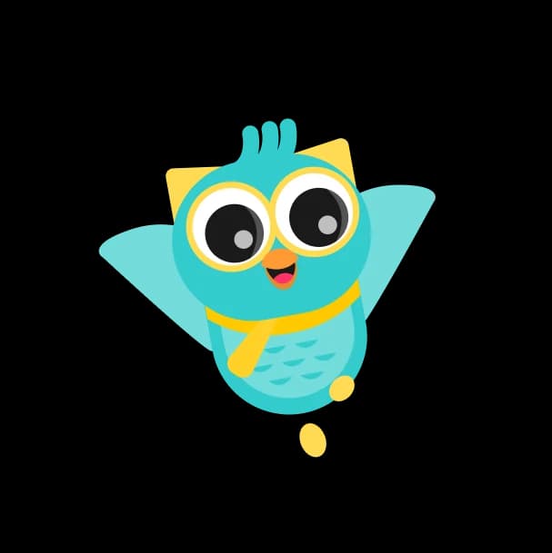 Ovo the owl