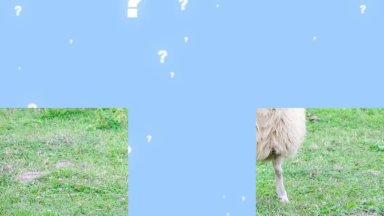 Guess the Animal! (Part Two) Learning Animals For Kids