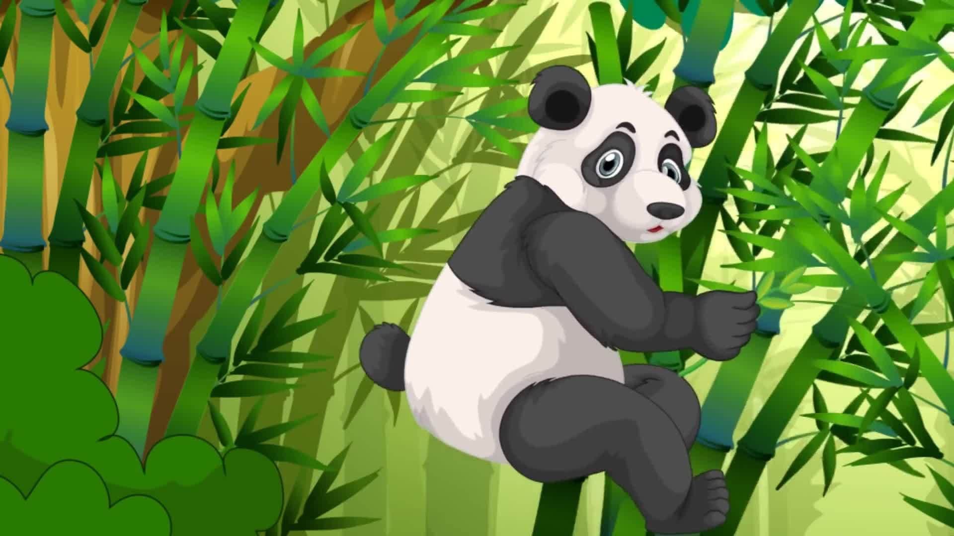 I'm Going to the Zoo Song | Animal Sounds at the Zoo