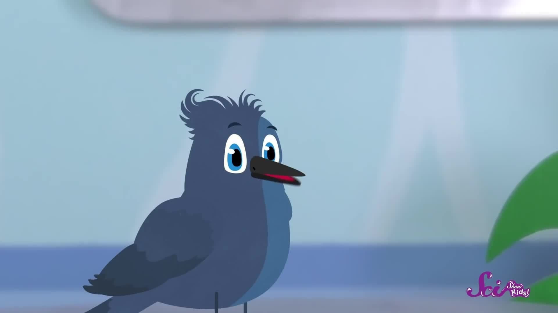 What Happened to the Dinosaurs?