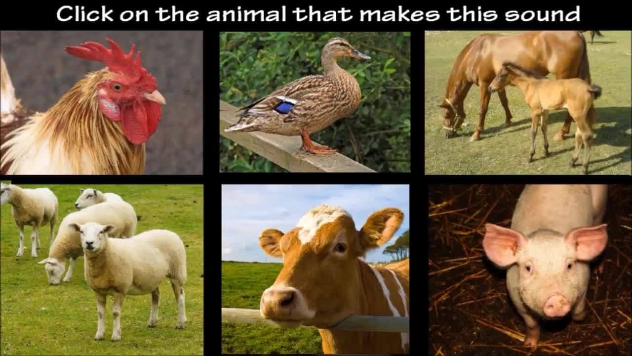 Farm Animal Sounds - An Interactive Game for Kids